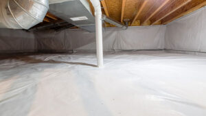 allied-contractors-mitigation